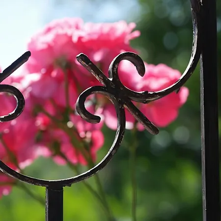 La Maison Des Coeurs 別荘