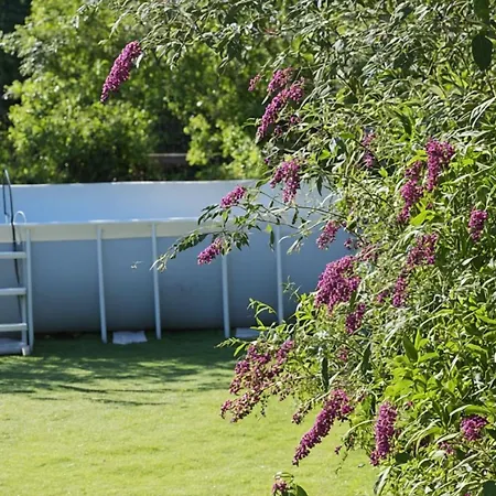 La Maison Des Coeurs